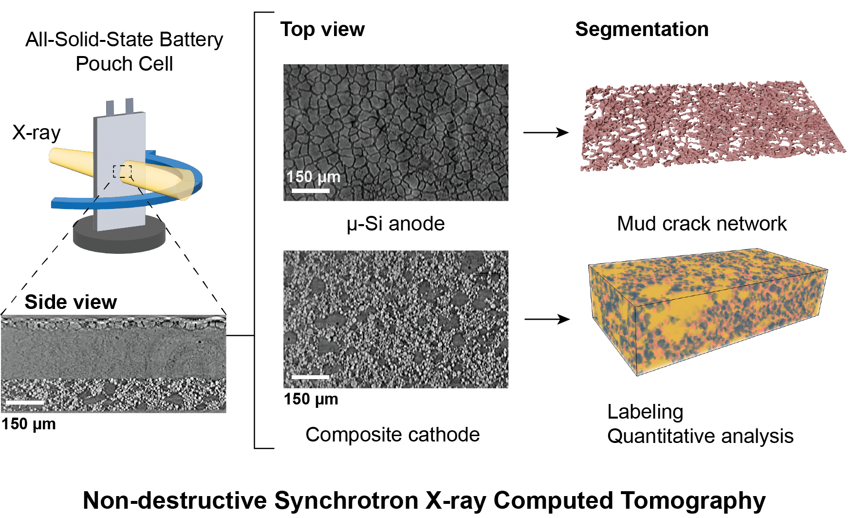 Synchrotron X-ray computed tomography of an all-solid-state pouch cell: top-view slices and 3D reconstructions of µ-Si anode and composite cathode